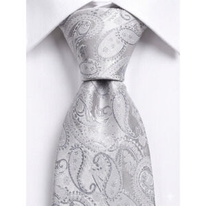 Angelo Rossi silver paisley microfiber tie - 61"